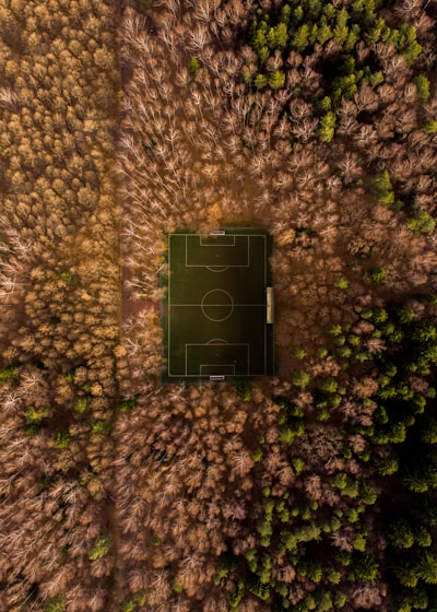 نهائي كأس كوبا أمريكامواجهة تاريخية تنتظر عشاق كرة القدم